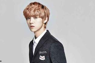 鹿晗伯贤家世爆料视频,豪门背景下的明星之路  第3张